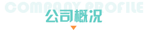 公司概况